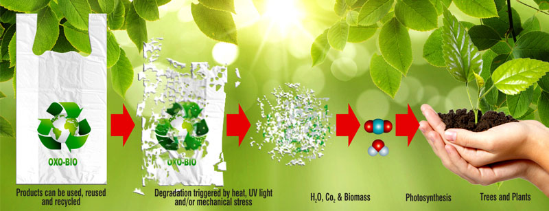 Biodegradable Film Blowing Machine