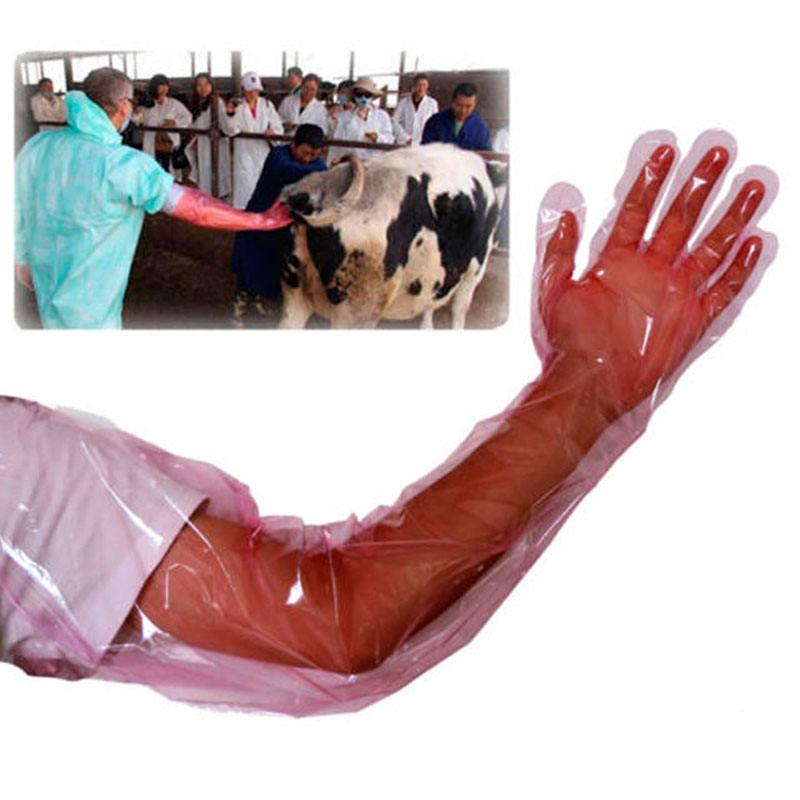 Disposable Animal Obstetric Glove Machine